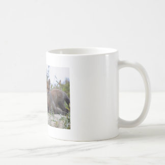 Baby Fox Mug