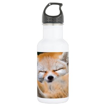 Baby Fox Sleeping Water Bottle by Trendi_Stuff at Zazzle