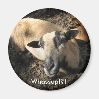 Baby from The Black Oak Ranch Magnet