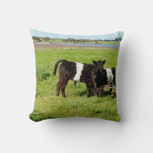 Baby Galloway Calves Throw Cushion