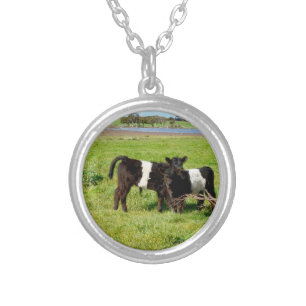 Baby Galloway Cows In The Country, Silver Plated Necklace
