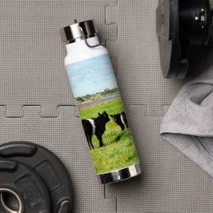 Baby Galloway Cows, Water Bottle