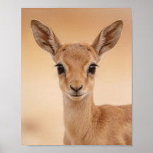 Baby Gazelle Portrait – Cute Nursery Animal Wall A
