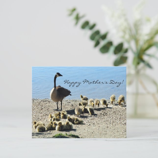 Baby Geese and Mother Goose 2 Postcard (Standing Front)