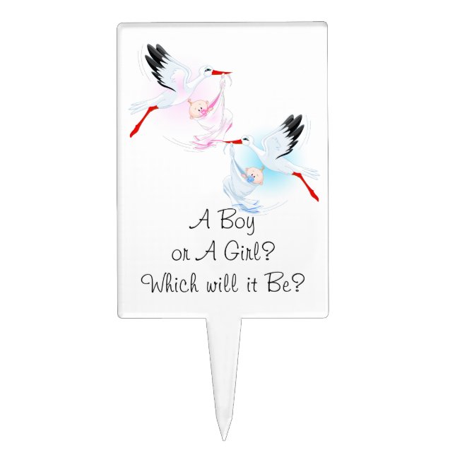 Baby Gender Reveal Party Cake Pick (Front)