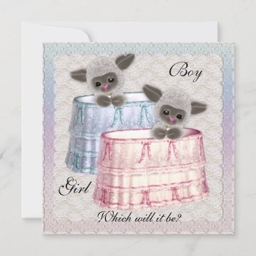 Baby Gender Reveal Party Invitation