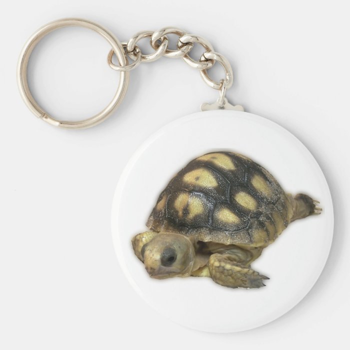 Baby Ghopher Tortoise Key Chains