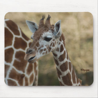 Baby Giraffe 02 Mouse Pad