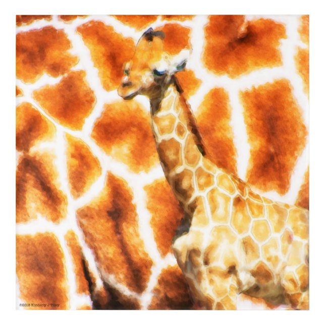 Baby Giraffe Acrylic Print (Front)