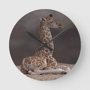 Baby Giraffe Clock