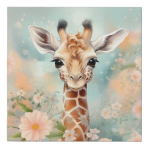 Baby Giraffe