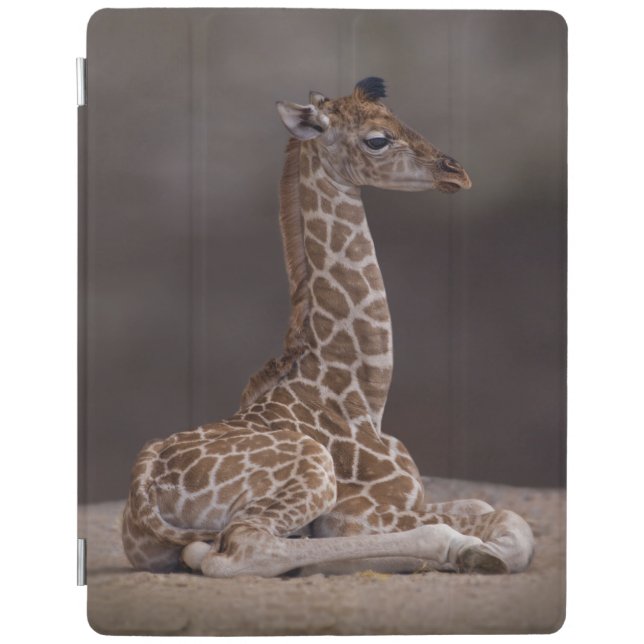 Baby Giraffe iPad Cover (all models) (Front)
