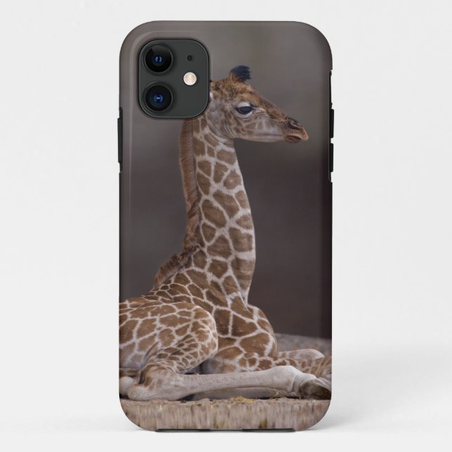 Baby Giraffe iPhone 5 Case-Mate Case (Back)
