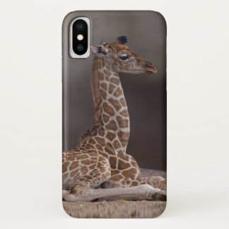Baby Giraffe iPhone X Case