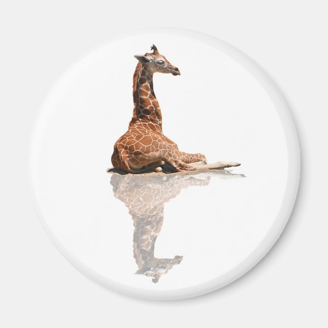 BABY GIRAFFE MAGNET (Front)