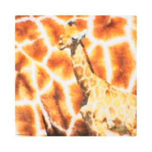 Baby Giraffe Metal Print