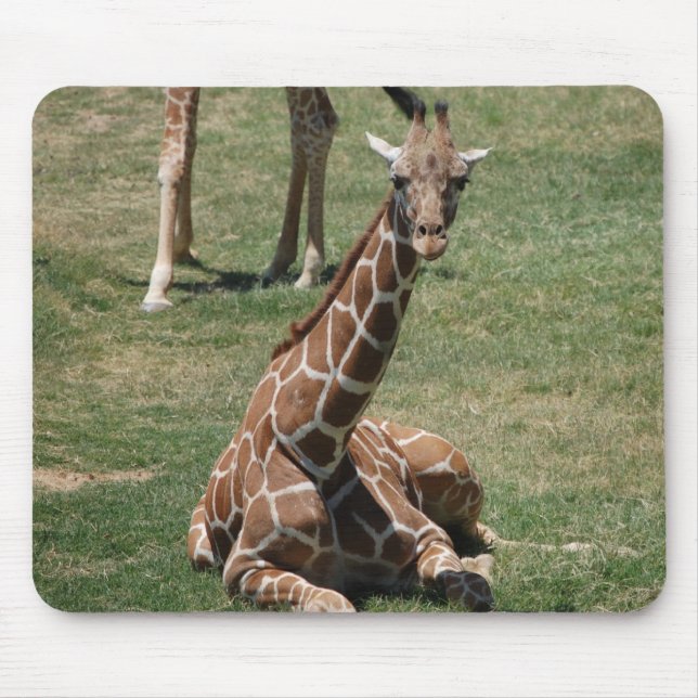 Baby Giraffe Mouse Pad (Front)