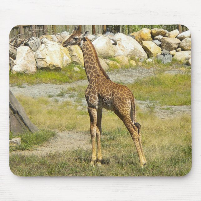 Baby Giraffe Mouse Pad (Front)