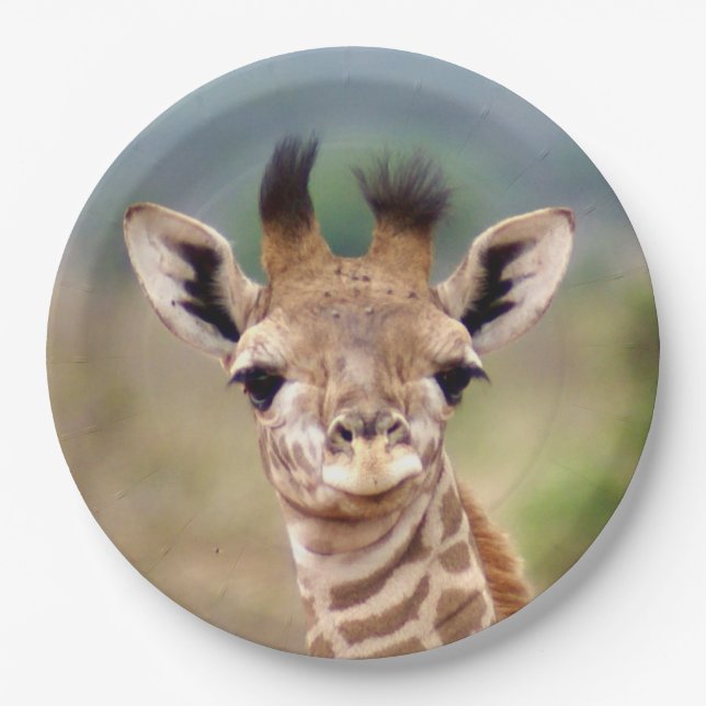 Baby giraffe picture, Kenya, Africa | 9" Paper Plates (Front)