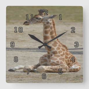 Baby Giraffe Square Wall Clock