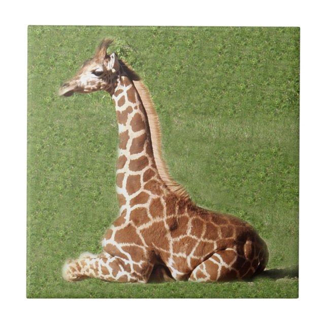 Baby Giraffe Tile (Front)