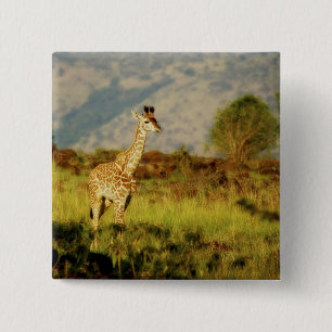 Baby giraffe wildlife badges & buttons