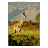 Baby giraffe wildlife cards (Front)