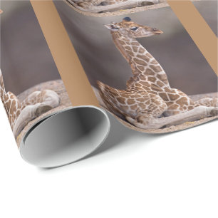 Baby Giraffe Wrapping Paper