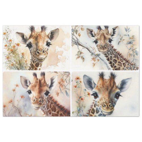 Baby Giraffes Tissue Paper