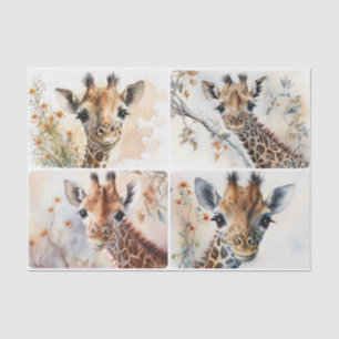Baby Giraffes Tissue Paper