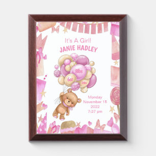 Baby Girl Birth Announcement Wall Plaque