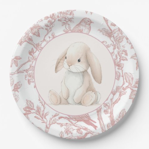 Baby Girl First Birthday Party Paper Plates