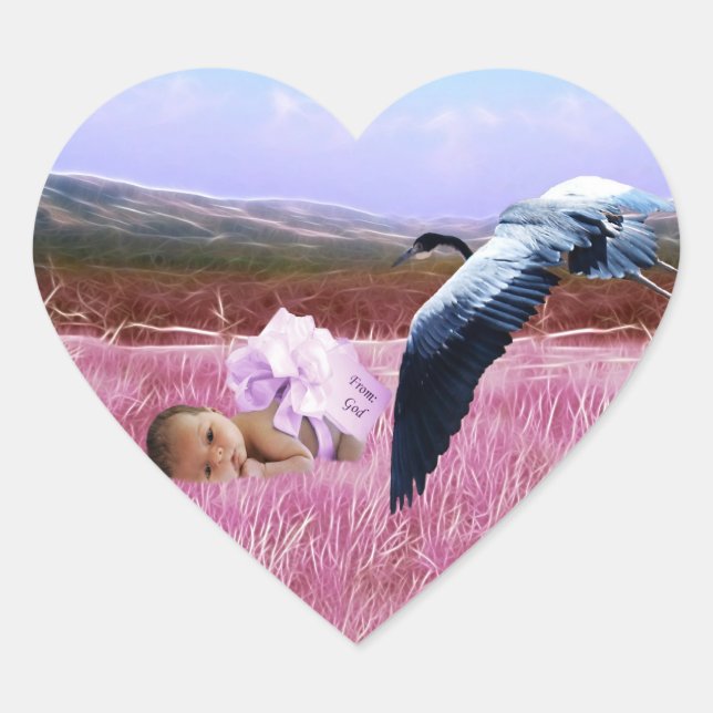 Baby Girl heart Sticker (Front)