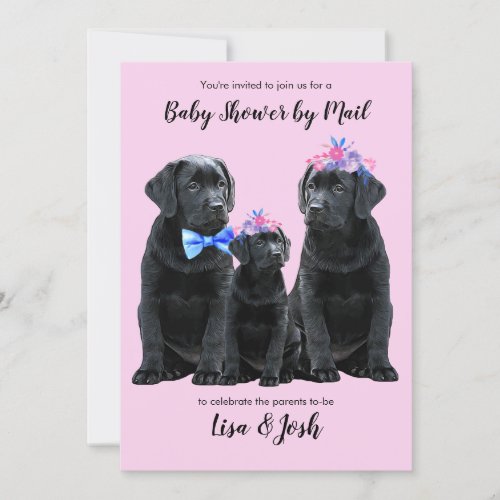Baby Girl Puppy _ Cute Dog Pink Black Lab Puppy Announcement