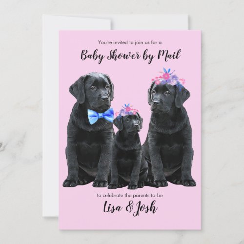 Baby Girl Puppy _ Cute Dog Pink Black Lab Puppy Invitation