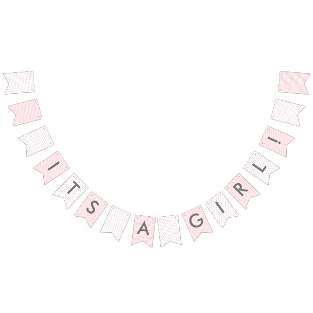 Baby Girl Shower Beautiful Country Party Bunting Flags (All)