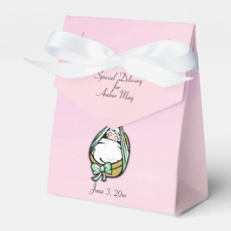 Baby Girl Shower Cute and Fun Delivery Stork Favor Boxes