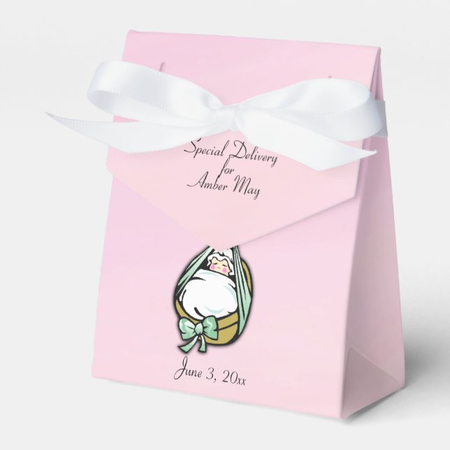 Baby Girl Shower Cute and Fun Delivery Stork Favor Boxes (Front Side)