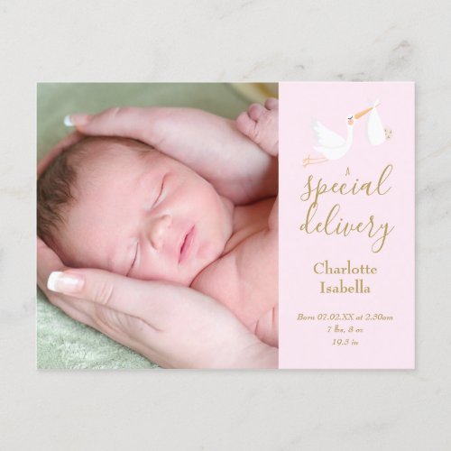 Baby Girl Special Delivery Stork Photo Pink Birth Announcement Postcard