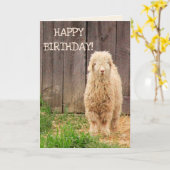 Baby Goat Birthday Card | Zazzle