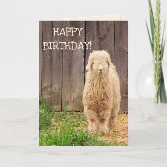 Baby Goat Birthday Card | Zazzle.com