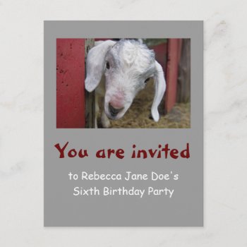 Baby Goat Birthday Party Invitation by oinkpix at Zazzle