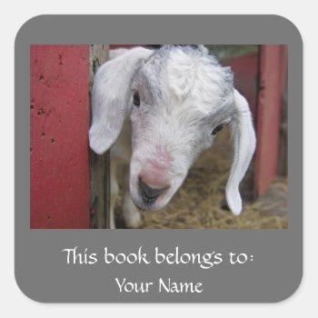 Baby Goat Bookplate by oinkpix at Zazzle