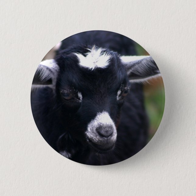 Baby Goat Button (Front)