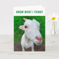 Baby Goat Cancer Encouragement