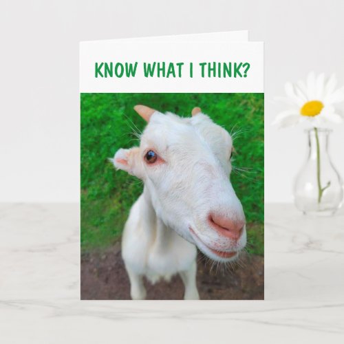 Baby Goat Cancer Encouragement Card