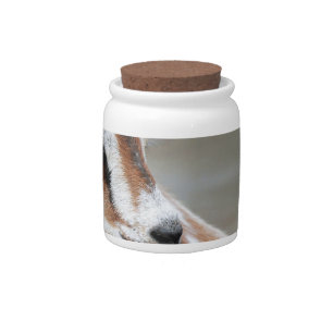 Baby Goat Candy Jar