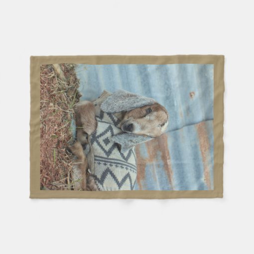 Baby Goat Fleece Blanket Zazzle