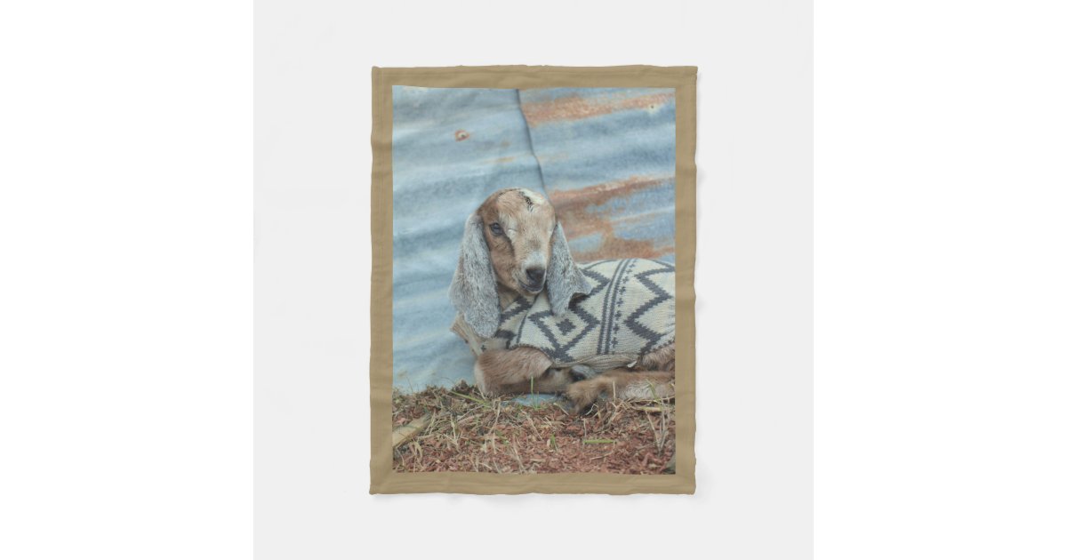Baby Goat Fleece Blanket Zazzle