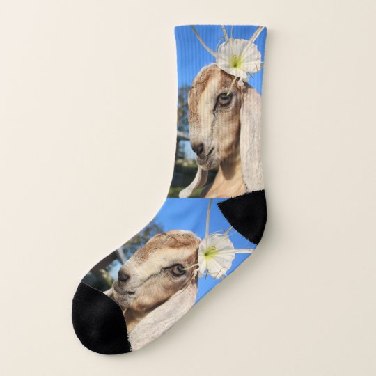 baby goat socks